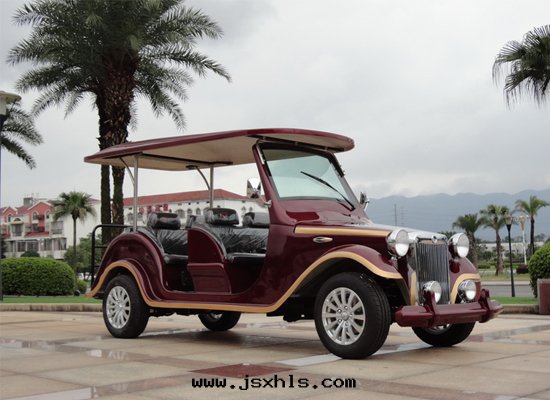 6座電(diàn)動(dòng)老(lǎo)爺車（FY-LD6A） 