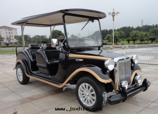 6座電(diàn)動(dòng)老(lǎo)爺車（FY-LD6C） 