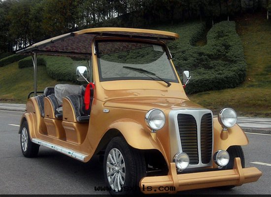 8座電(diàn)動(dòng)老(lǎo)爺車FY-LD8B