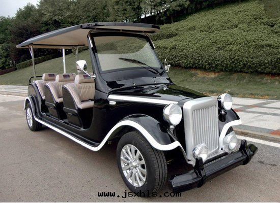 8座電(diàn)動(dòng)老(lǎo)爺車FY-LD8A