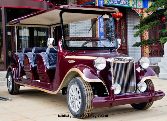 8座電(diàn)動(dòng)老(lǎo)爺車FY-LD8C