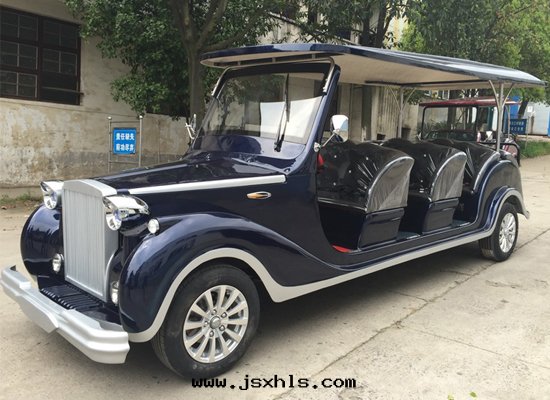 12座電(diàn)動(dòng)老(lǎo)爺車FY-LD12A